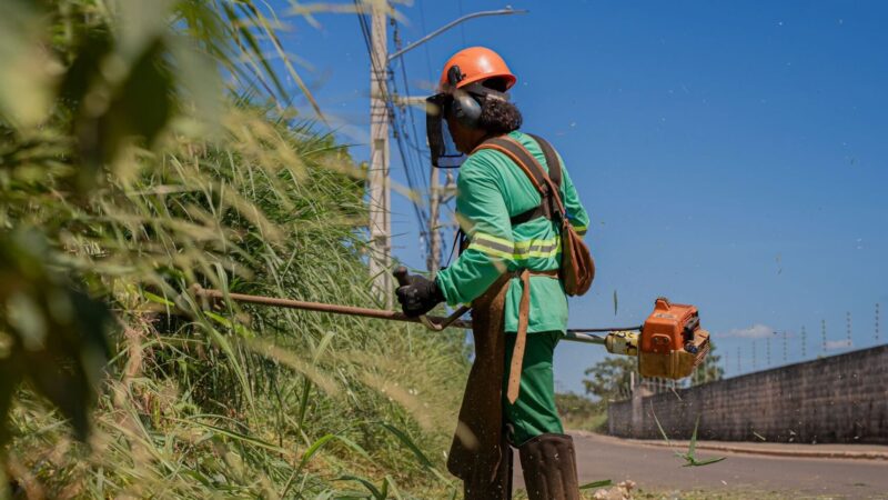 Prefeitura vai intensificar fiscalização e multar donos de lotes particulares com mato alto em Anápolis.