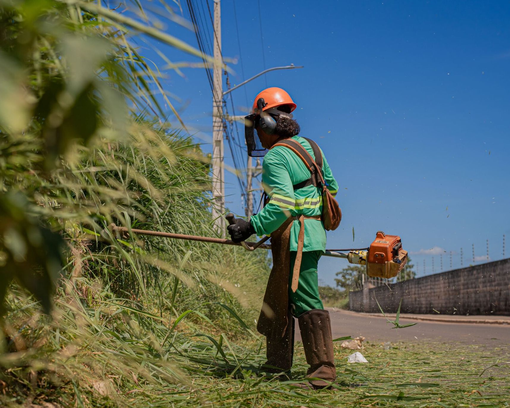Prefeitura vai intensificar fiscalização e multar donos de lotes particulares com mato alto em Anápolis.