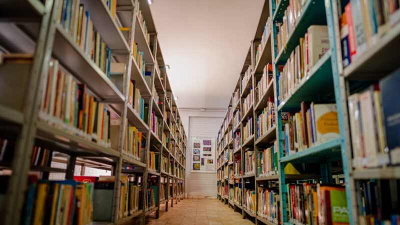 Projeto leva Biblioteca Comunitária gratuita para a região do Daia.
