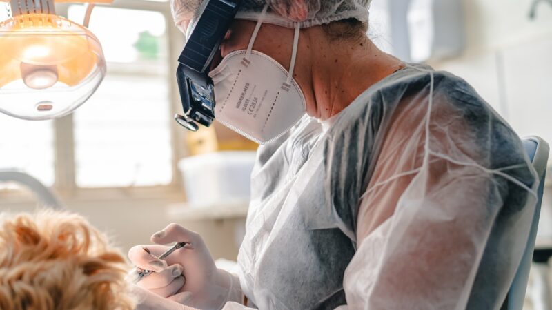 Quando procurar a UBS e quando ir ao CEO: saiba onde buscar atendimento odontológico em Anápolis.