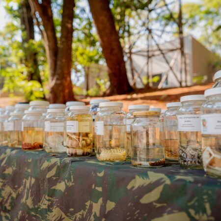 Escoteiros pediram e Zoonoses de Anápolis atendeu: grupo irá receber treinamento sobre animais peçonhentos.