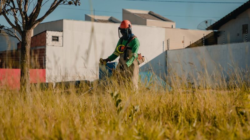 Prefeitura de Anápolis intima todos os responsáveis por lotes com mato alto; multa pode chegar a 50% do valor do IPTU/ITU.