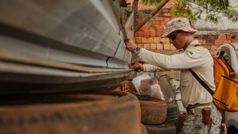 Equipes de Endemias realizam vistorias em mais de 70 mil imóveis e eliminam 512 focos em março.
