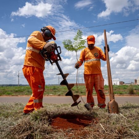 Com chegada das chuvas, Prefeitura reforça Programa Anápolis Mais Verde; 277 mudas serão plantadas em três avenidas.
