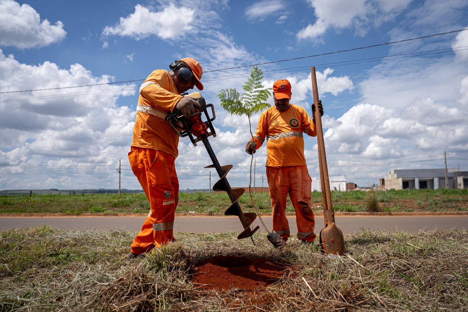 Com chegada das chuvas, Prefeitura reforça Programa Anápolis Mais Verde; 277 mudas serão plantadas em três avenidas.